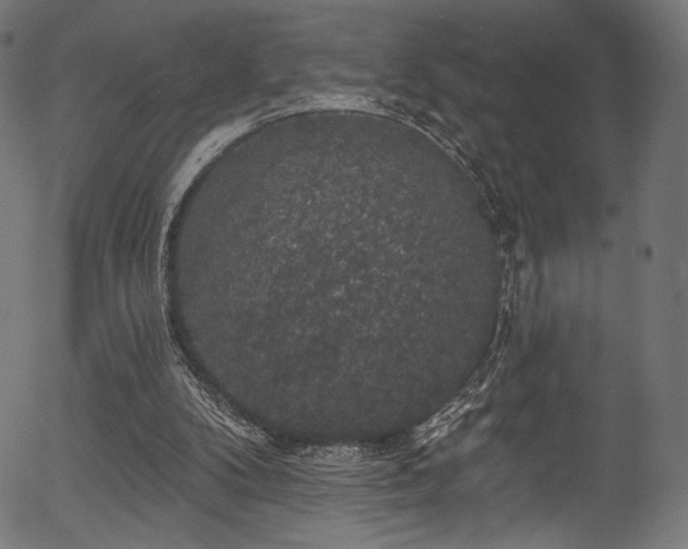 X0000056350104200508291332