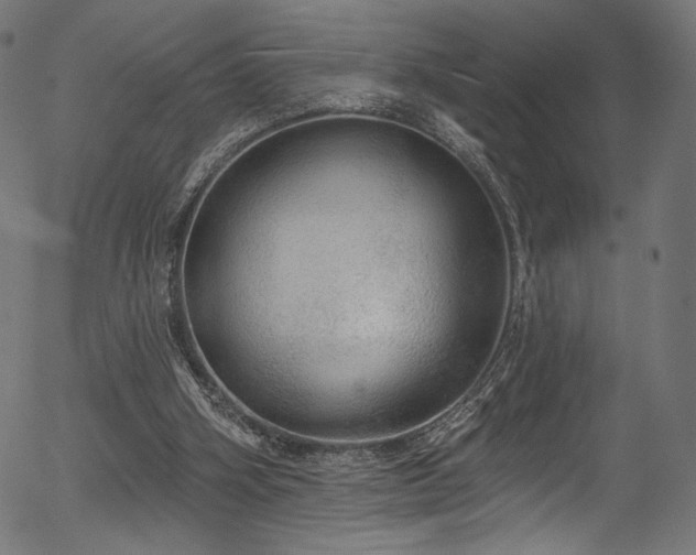 X0000056350106200508291332