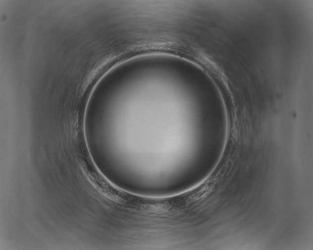 X0000056350107200508291332