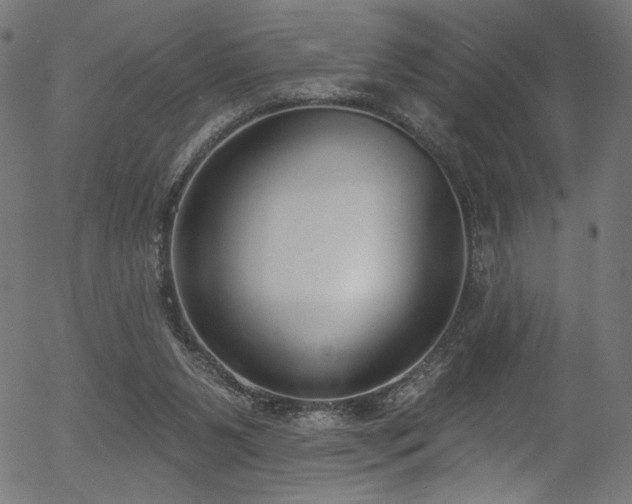 X0000056350111200508291332