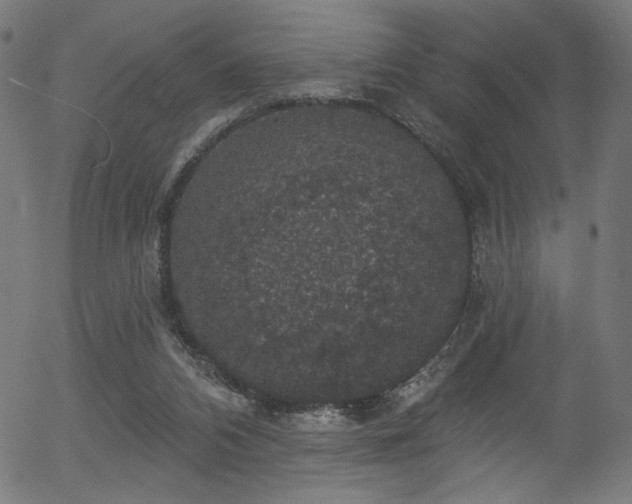 X0000056350112200508291332