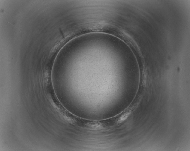 X0000056350113200508291332