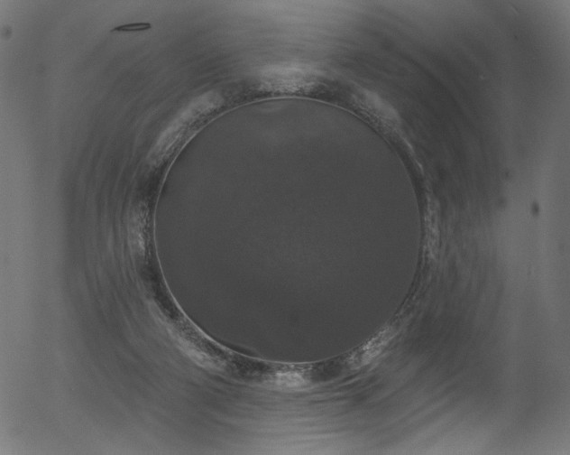 X0000056350114200508291332