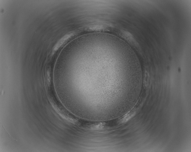 X0000056350116200508291332