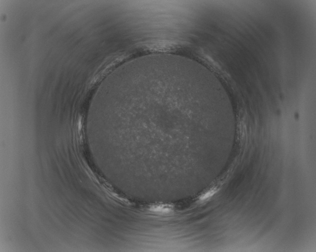 X0000056350117200508291332