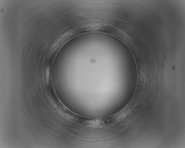 X0000056350118200508291332