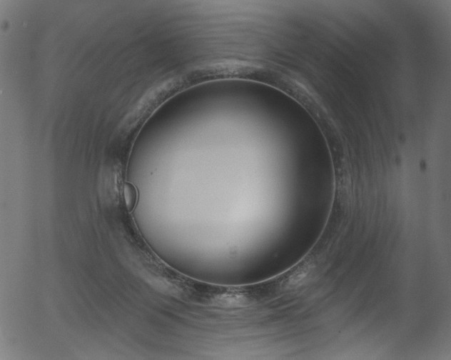 X0000056350119200508291332