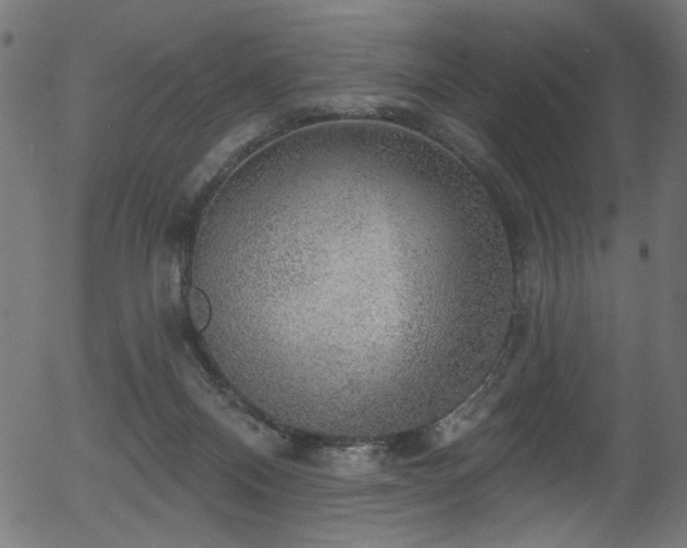 X0000056350120200508291332