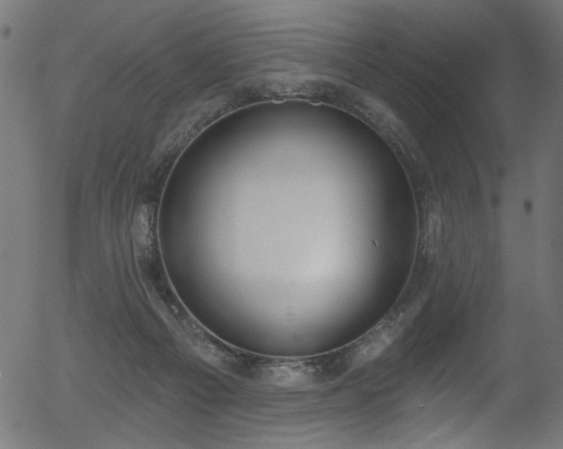 X0000056350121200508291332