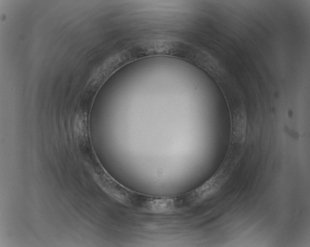 X0000056350126200508291332