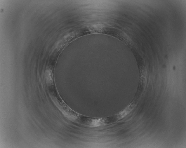 X0000056350130200508291332