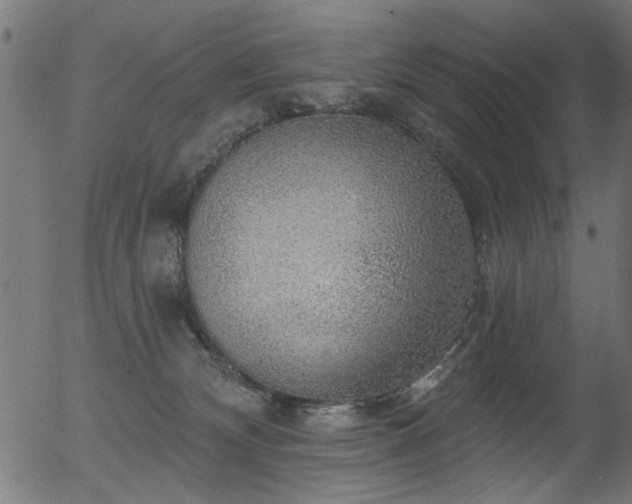 X0000056350132200508291332