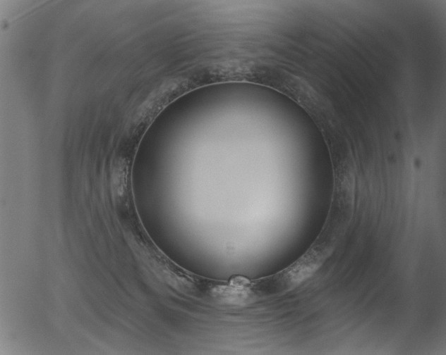 X0000056350133200508291332