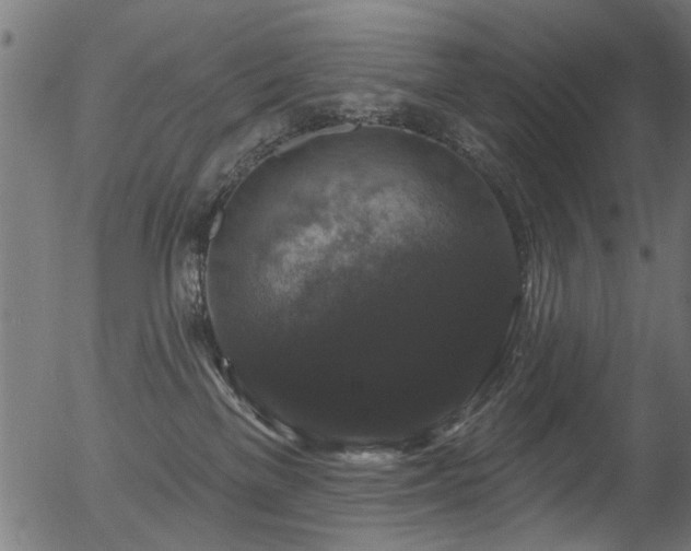 X0000056350137200508291332