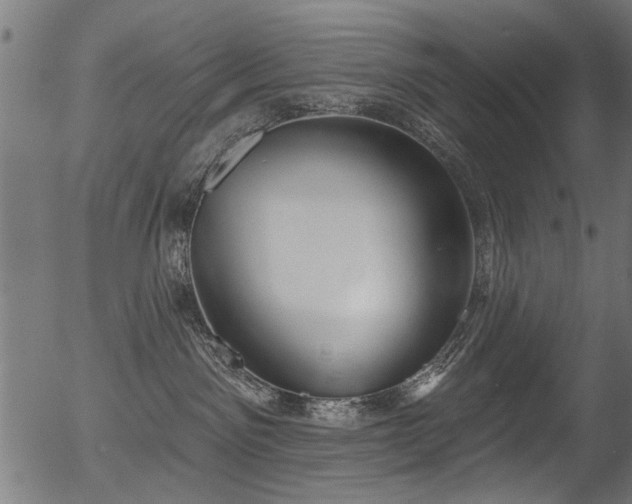 X0000056350141200508291332