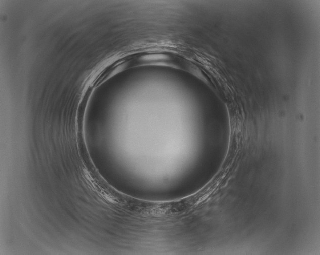 X0000056350148200508291331