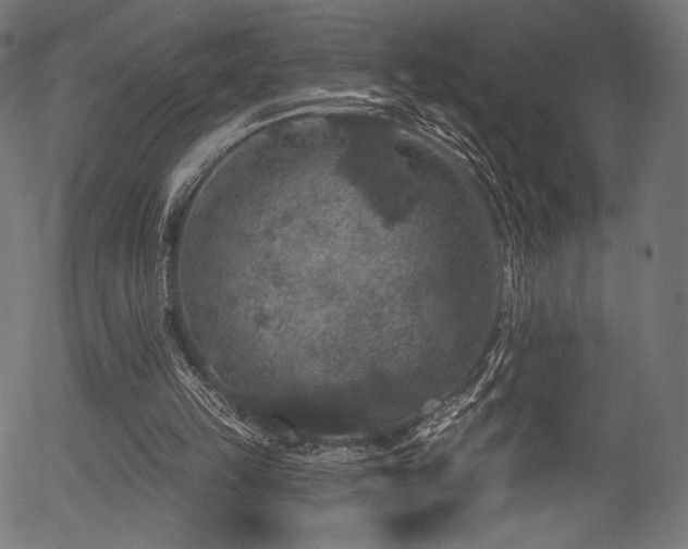 X0000056350149200508291331