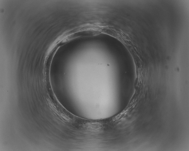 X0000056350150200508291331