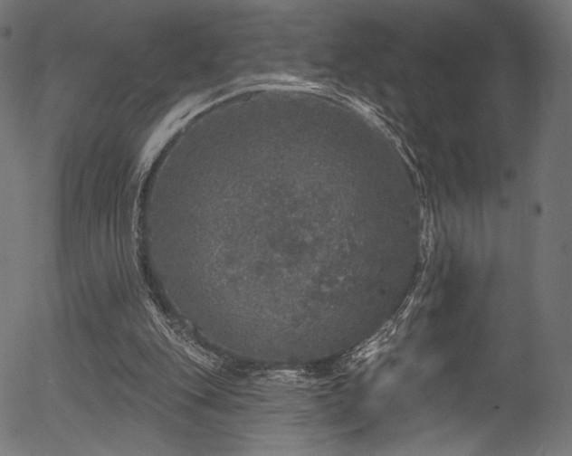 X0000056350151200508291331