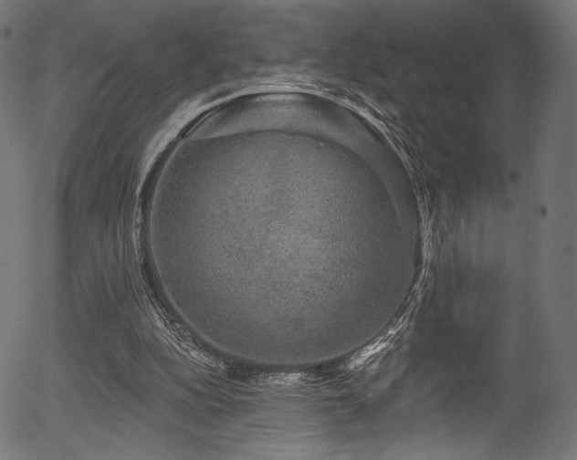 X0000056350152200508291331