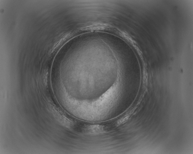 X0000056350153200508291331