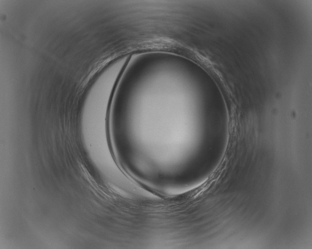 X0000056350154200508291331