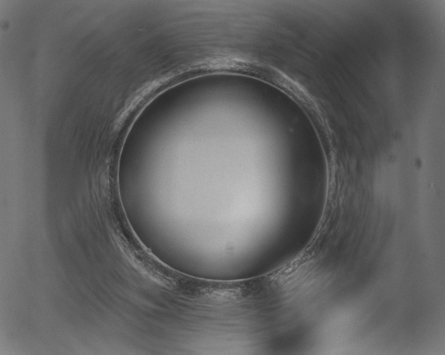 X0000056350155200508291331