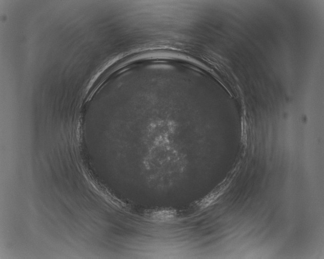 X0000056350156200508291331