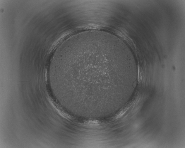 X0000056350157200508291331