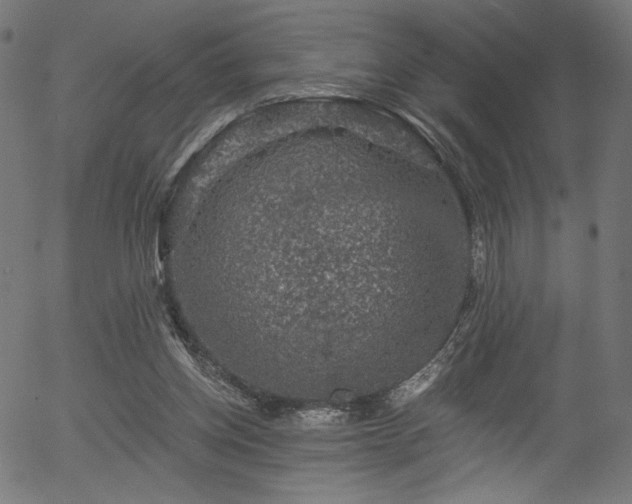 X0000056350158200508291331