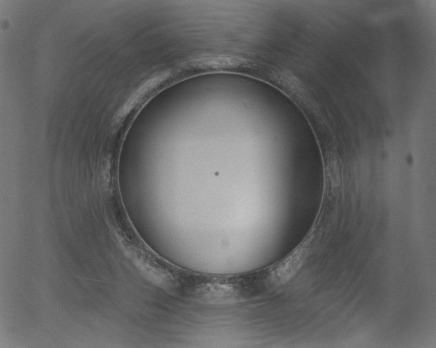 X0000056350159200508291331