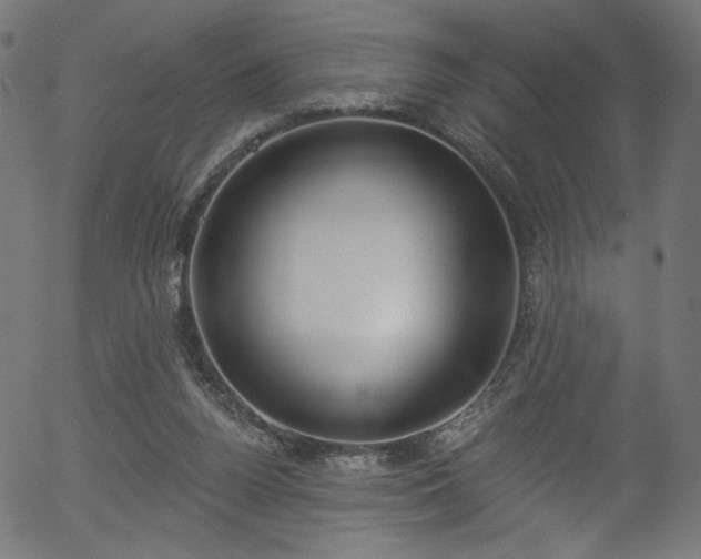 X0000056350160200508291331