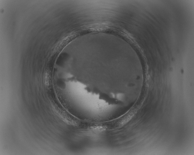 X0000056350161200508291331