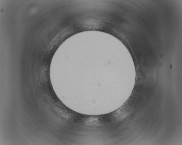 X0000056350162200508291331