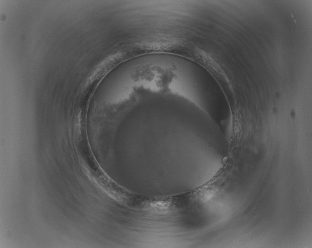 X0000056350163200508291331