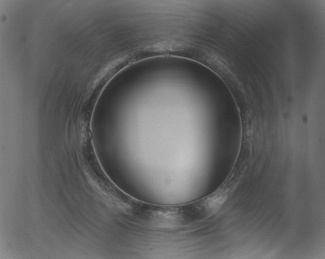 X0000056350164200508291331