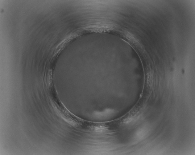 X0000056350165200508291331