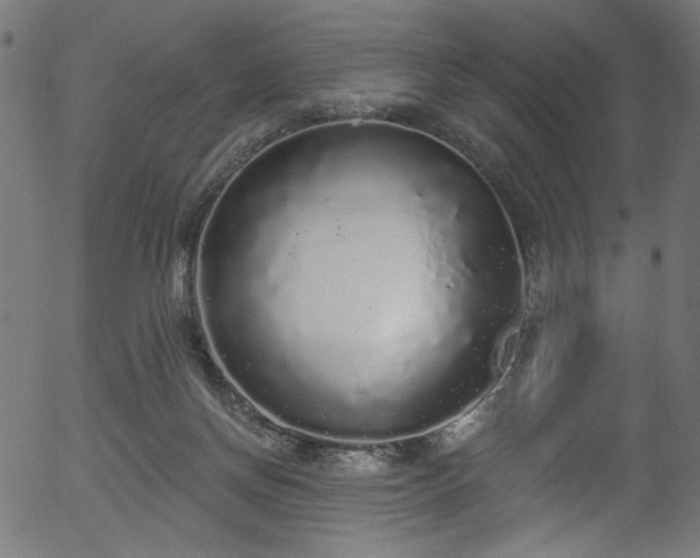 X0000056350166200508291331