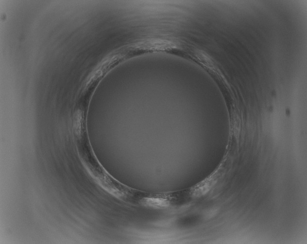 X0000056350167200508291331