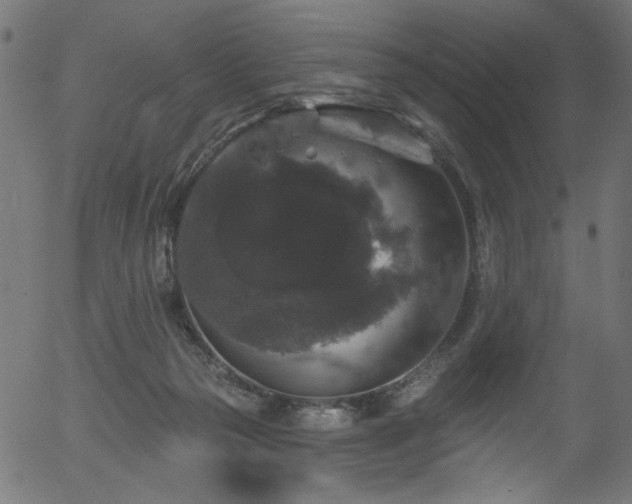 X0000056350169200508291331