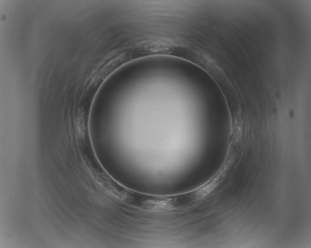 X0000056350170200508291331