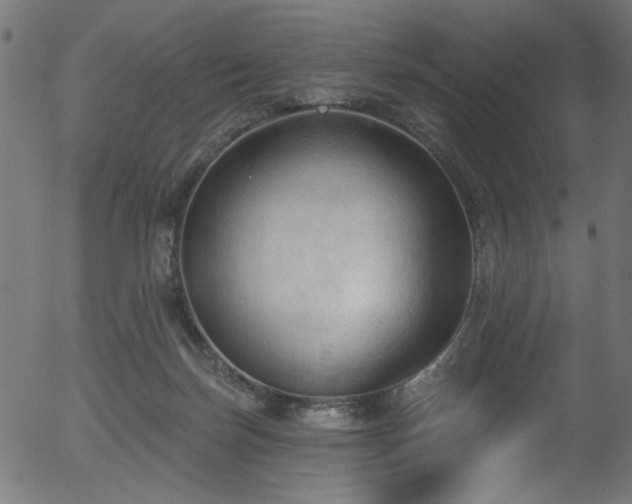 X0000056350171200508291331