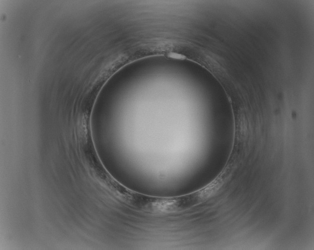 X0000056350172200508291331