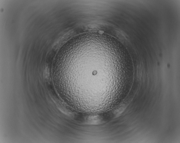 X0000056350173200508291331