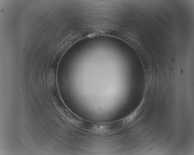 X0000056350174200508291331