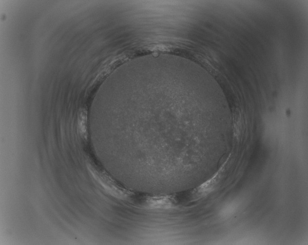 X0000056350175200508291331