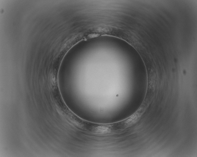 X0000056350176200508291331