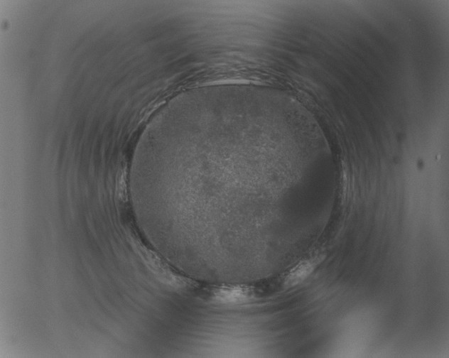 X0000056350177200508291331