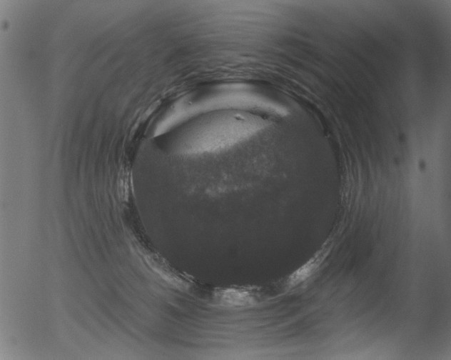 X0000056350180200508291331