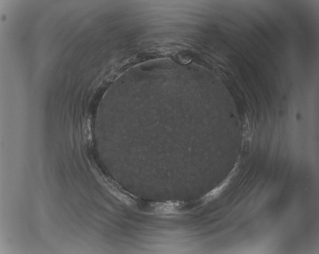 X0000056350182200508291331